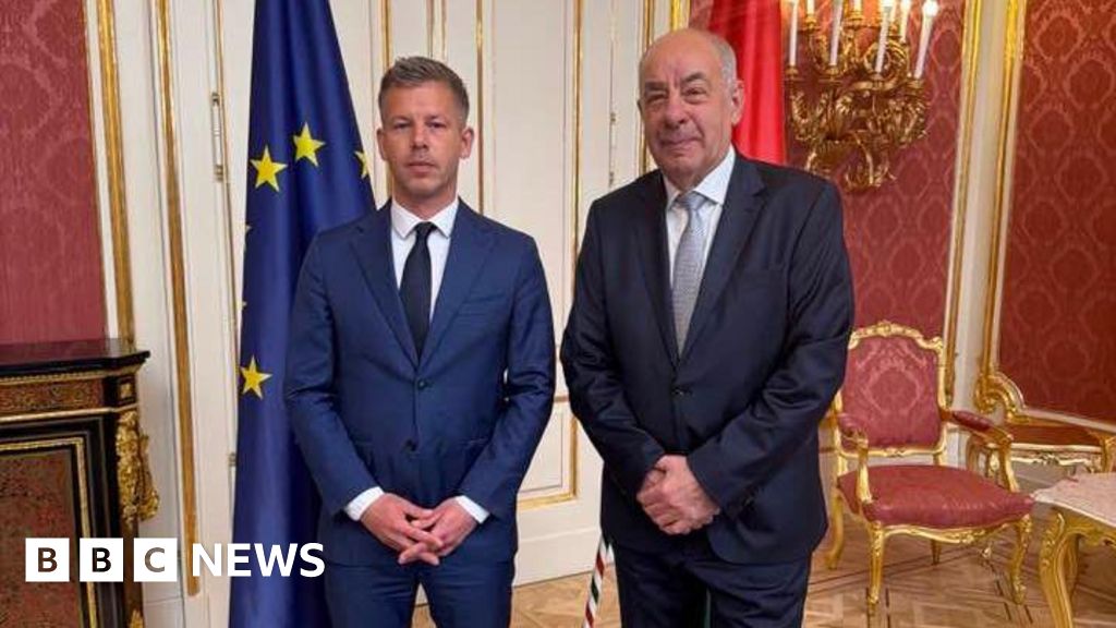 Magyar calls for fast handover of power in talks with Hungary's president